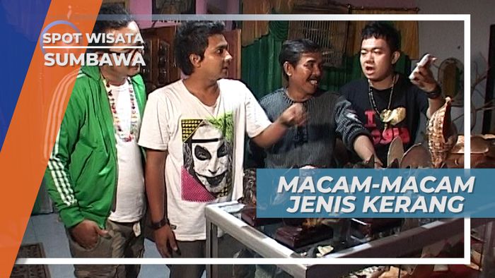 Tidak Menggunakan Cat, Kerang Memiliki Warna Berkilau yang Alami, Sumbawa