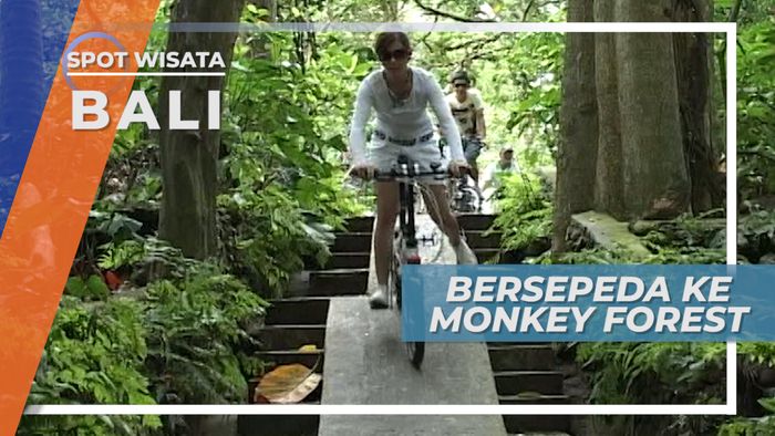 Bersepeda ke Monkey Forest Bali, Berinteraksi Dengan Monyet-monyet Lucu