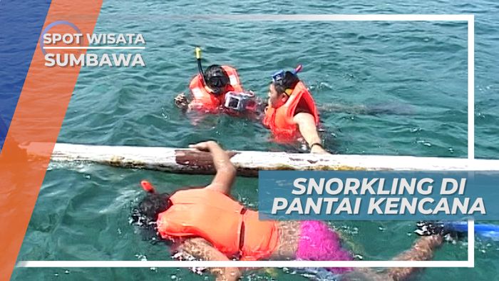 Snorkeling Menikmati Keindahan Bawah Laut di Pantai Kencana Sumbawa