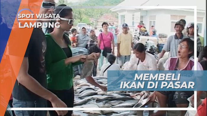 Dari Bawal Hingga Belut, Ragam Ikan di Tempat Pelelangan, Lampung 