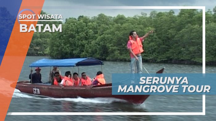 Keindahan Hutan Mangrove Batam