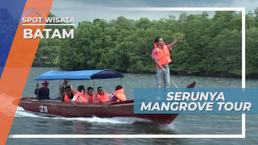 Keindahan Hutan Mangrove Batam