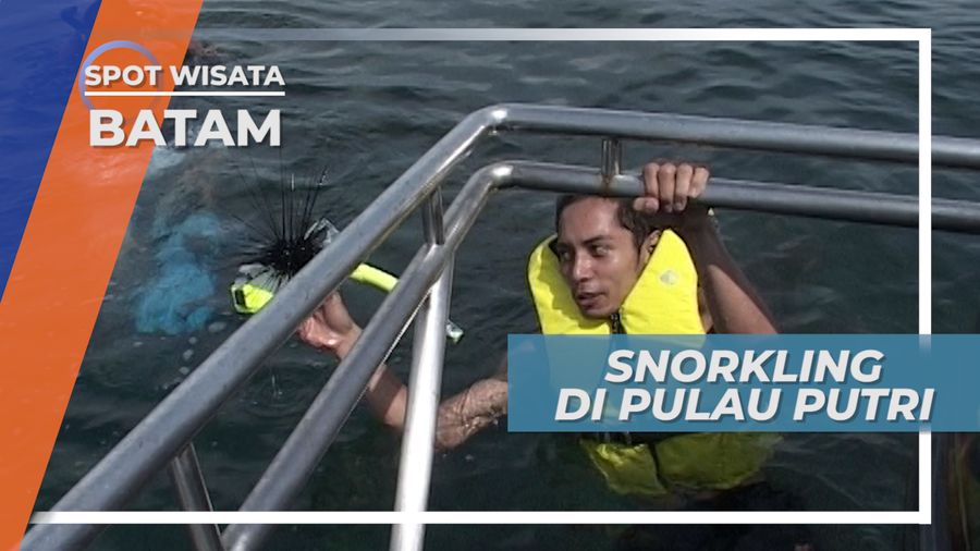 Keindahan Bawah Laut Pulau Putri Batam