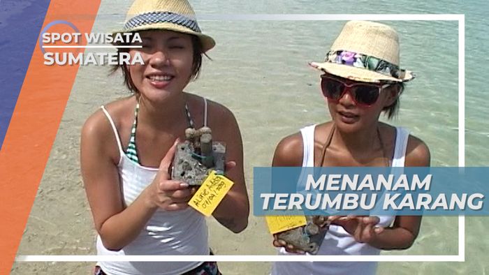 Melestarikan Alam Dengan Menanam Terumbu Karang di Sikuai Island Sumatera Barat