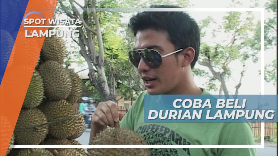 Manis dan Lezat, Mencicipi Cita Rasa Durian Khas Lampung