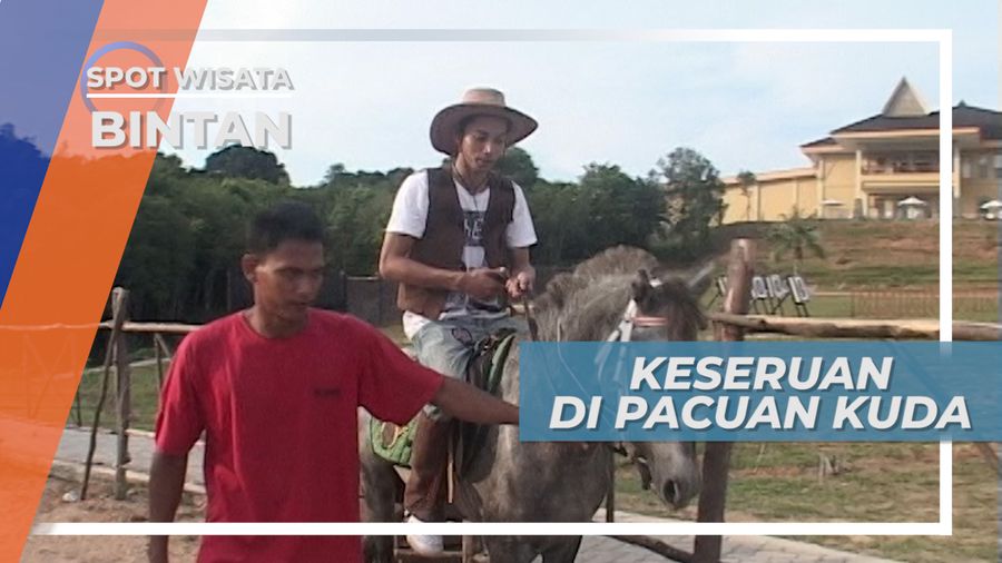 Adu Cepat Pacuan Kuda, Aktivitas Menantang Adrenalin, Bintan