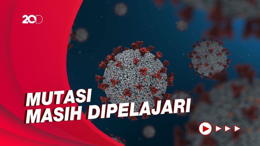Afrika Selatan Temukan Varian Corona Baru, Namanya C.1.2