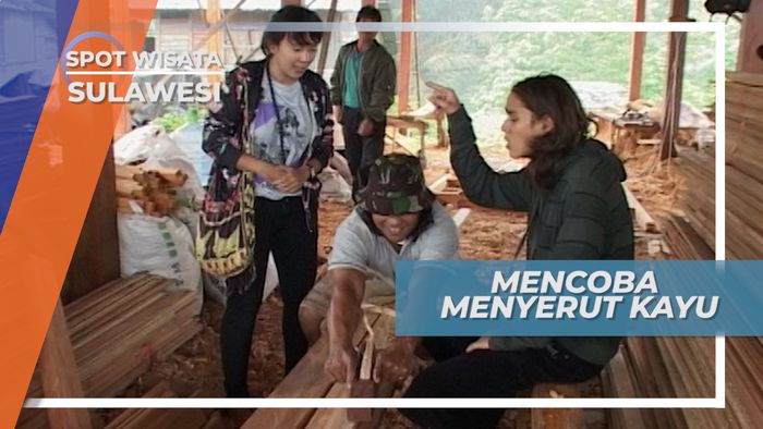 Fokus dan Teknik Khusus untuk Menyerut Kayu, Sulawesi