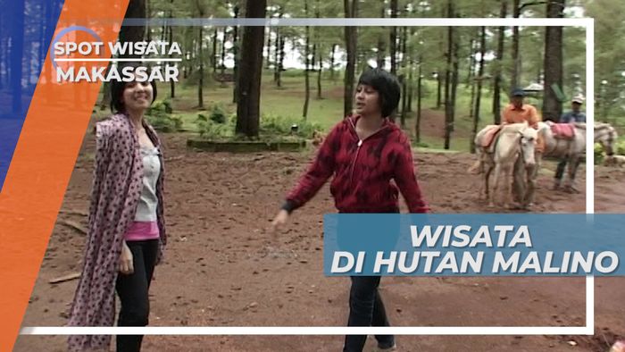 Menikmati Suasana Asri nan Hijau di Hutan Wisata Malino Makassar