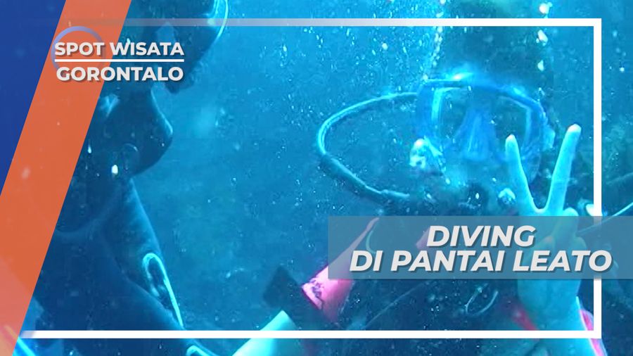 Bertemu Nemo, Si Ikan Lucu di Dasar Laut Pantai Leato Gorontalo 