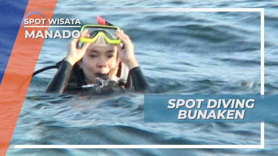 Titik Penyelaman Taman Laut Bunaken Sulawesi Utara 