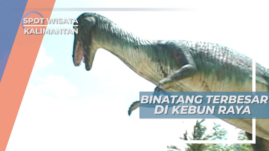 Menunggangi Bintang Terbesar di Kebun Raya Unmul, Samarinda
