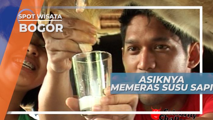 Olesan Mentega, Teknik Untuk Memerah Susu Sapi, Bogor