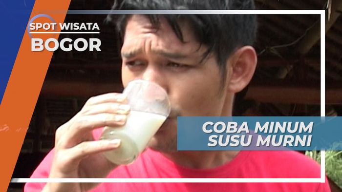 Menikmati Susu Sapi Murni Hasil Perahan, Bogor