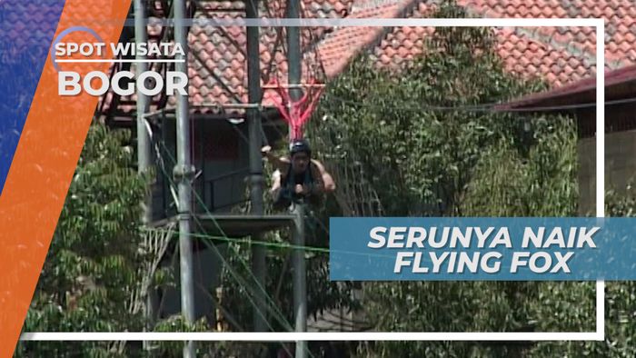 Meluncur Dari Ketinggian, Asiknya Bermain Flying Fox di Kawasan Wisata Bogor