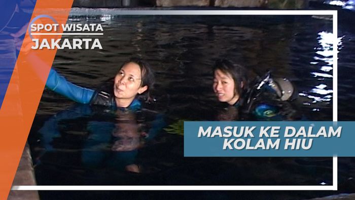 Seru Tapi Bikin Tegang, Masuk ke Dalam Kolam Hiu, Jakarta