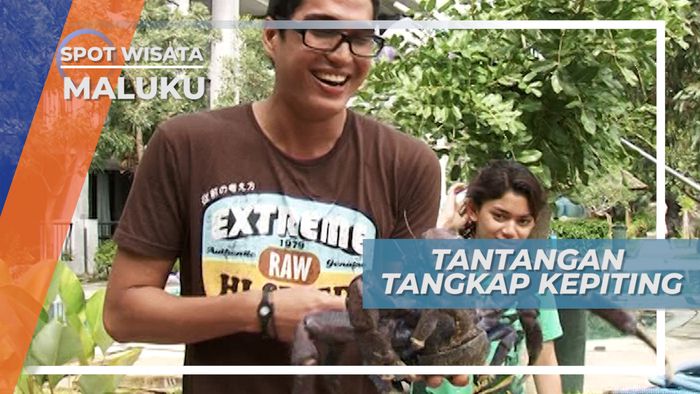 Menangkap Ketam Kenari, Kepiting Darat Terbesar Pemakan Buah Kelapa, Maluku