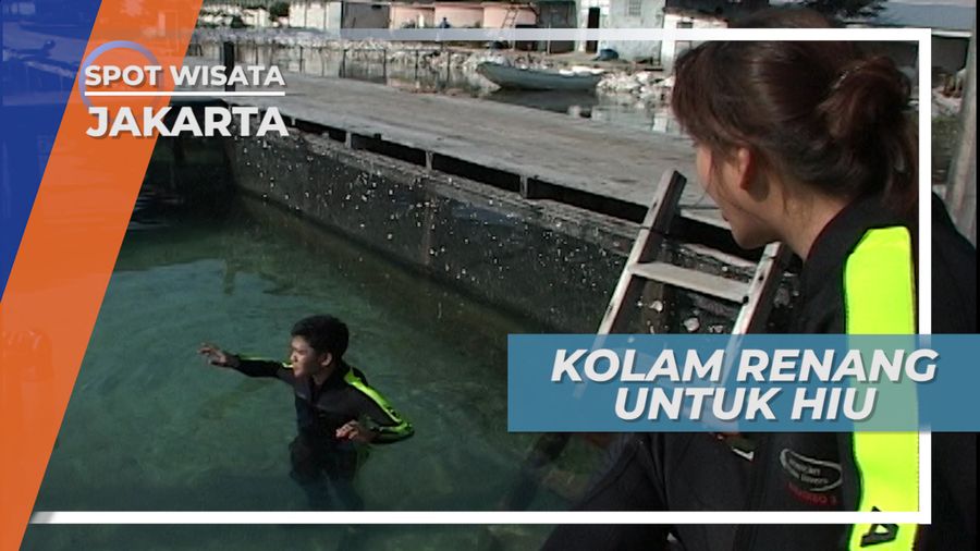Kolam Renang Keramba Khusus Untuk Hiu Jinak, Jakarta