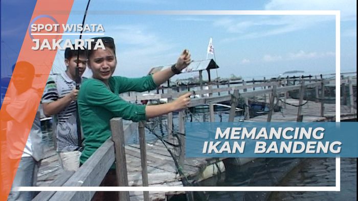 Tarik Menarik Joran, Adu Tenaga Dengan Ikan Bandeng, Jakarta