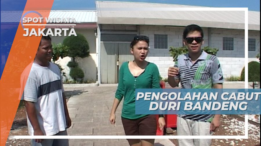 Mengunjungi Tempat Pengolahan Ikan Bandeng, Jakarta