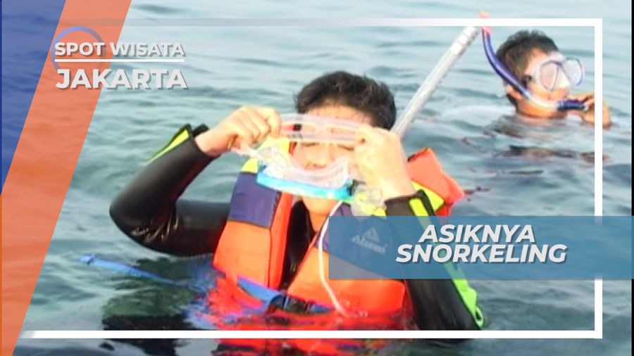 Indahnya Surga Bawah Laut Pulau Semak, Jakarta