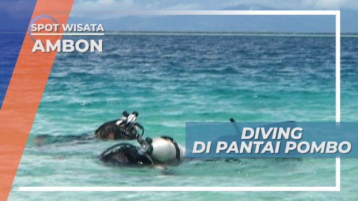 Pantai Pombo, Titik Penyelaman Pantai Pasir Putih Dengan Ikan Indah di Dasar Laut Ambon