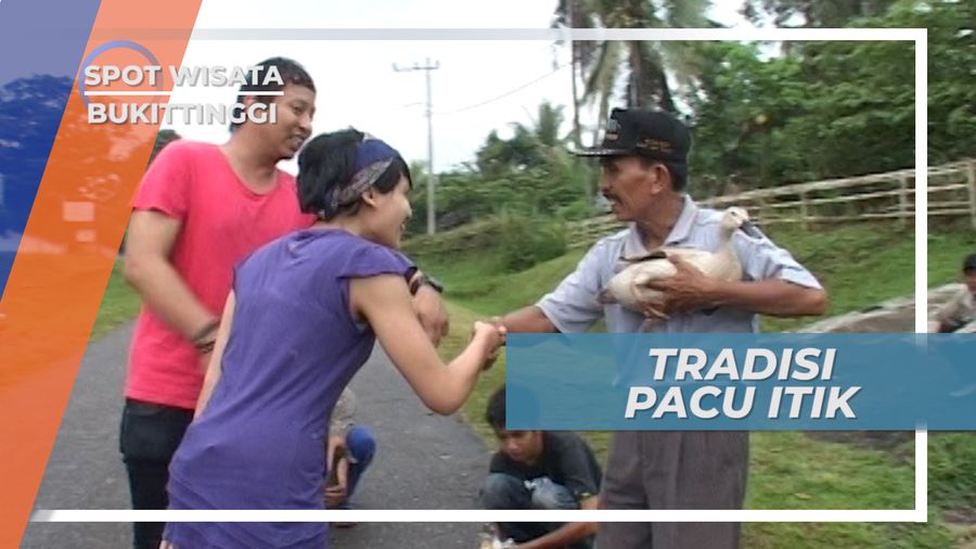 Pacu Itik, Tradisi Unik Dari Payakumbuh Sumatera Barat