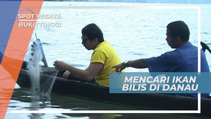 Menjaring Ikan Bilis, Teri Nikmat dari Danau Singkarak Tanah Datar Sumatera Barat