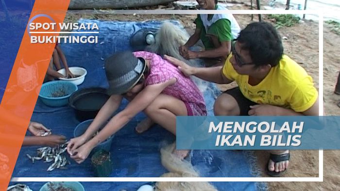 Membersihkan Ikan Bilis, Agar Menjadi Kuliner Ternikmat dari Danau Singkarak Sumatera Barat