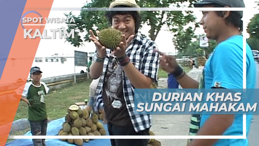 Durian Mungil Khas Sungai Mahakam, Kalimantan Timur