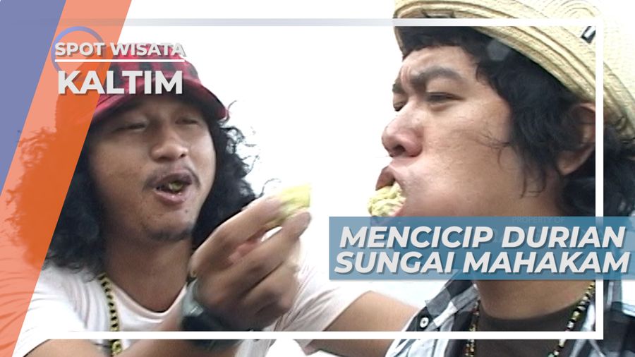 Durian Sungai Mahakam, Ukuran Kecil dengan Rasa Besar, Kalimantan Timur