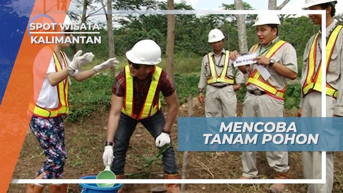Menanam Pohon di Kawasan Tambang Batu Bara Kalimantan Timur