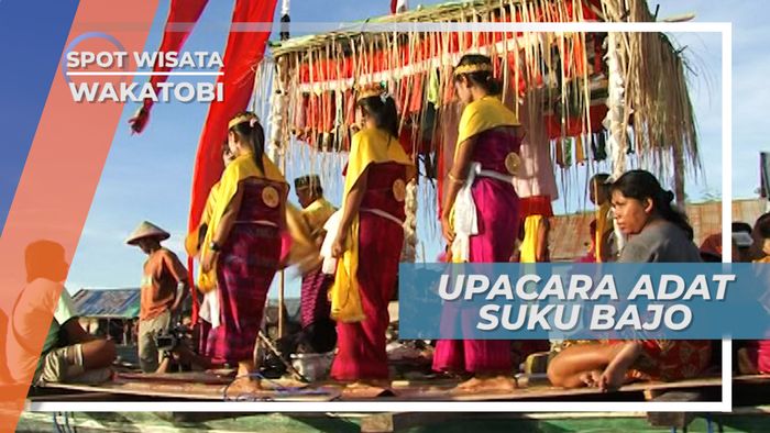 Melihat Dari Dekat Upacara Adat Suku Bajo Wakatobi Sulawesi Tenggara