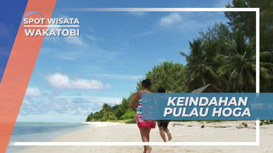 Menikmati Panorama Indah Pulau Hoga Wakatobi Sulawesi Tenggara
