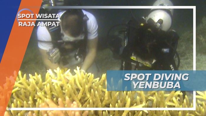 Yenbuba, Spot Diving  dengan Koral Warna-warni, Raja Ampat