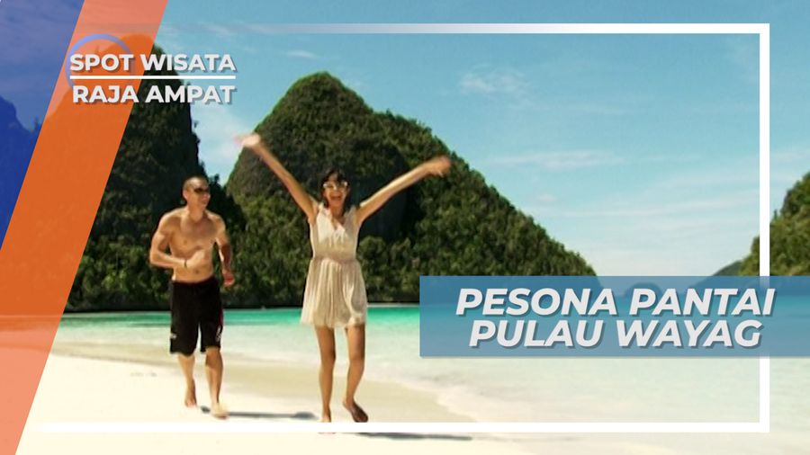 Pesona Pantai Pulau Wayag Raja Ampat