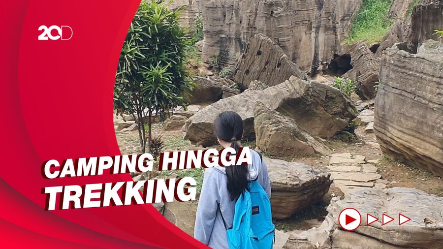 Destinasi Baru! Wisata Hutan Hujan Ini Hanya 1 Jam dari Jakarta