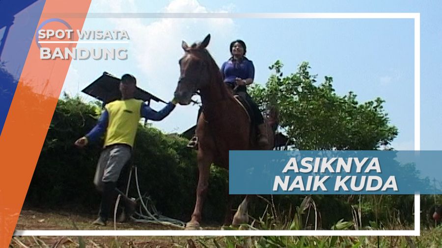 Kuda Besar nan Gagah Asal Jerman di Kecamatan Ngamprah Bandung Barat
