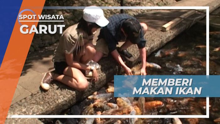 Memberi Makan Ikan Mas di Kolam Kampung Sampireun Garut