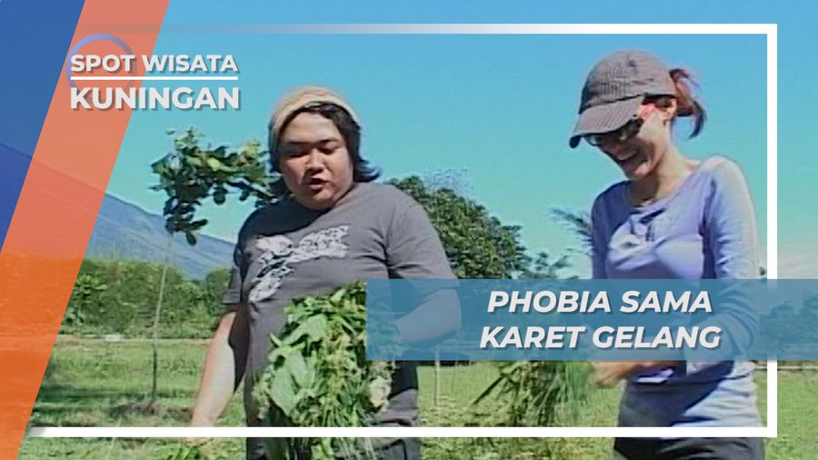 Menyenangkan, Memberi Makan Kambing di Alam Terbuka, Kuningan