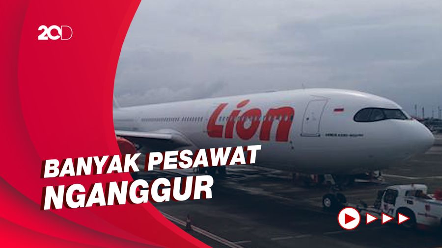 Perusahaan Penerbangan Indonesia Kurangi Jumlah Pesawat