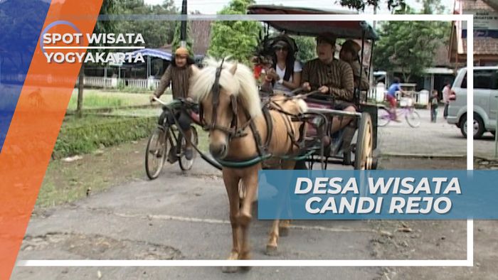 Candi Rejo, Wisata Delman Keliling Desa Wisata Magelang Jawa Tengah