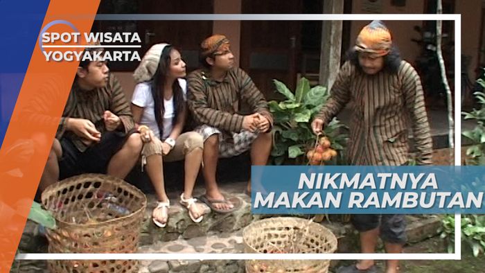 Candi Rejo, Nikmatnya Rambutan dan Terjatuh Saat Memanjat Pohonnya di Desa Wisata Magelang
