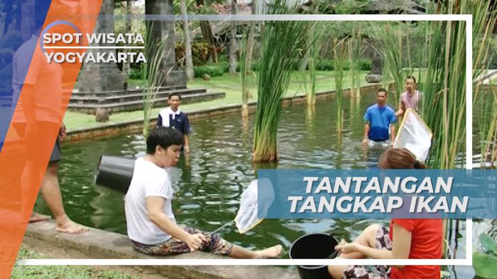 Serunya Berlomba 5 Menit Menangkap Ikan Dalam Kolam yang Indah di Yogyakarta