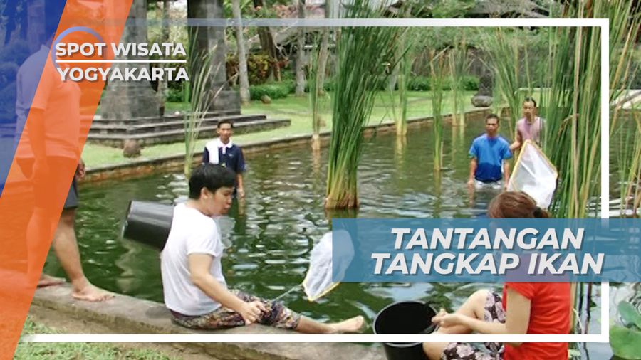 Serunya Berlomba 5 Menit Menangkap Ikan Dalam Kolam yang Indah di Yogyakarta