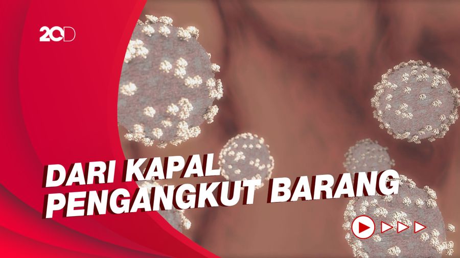 Menkes Akui Kebobolan Varian Delta dari Jalur Laut