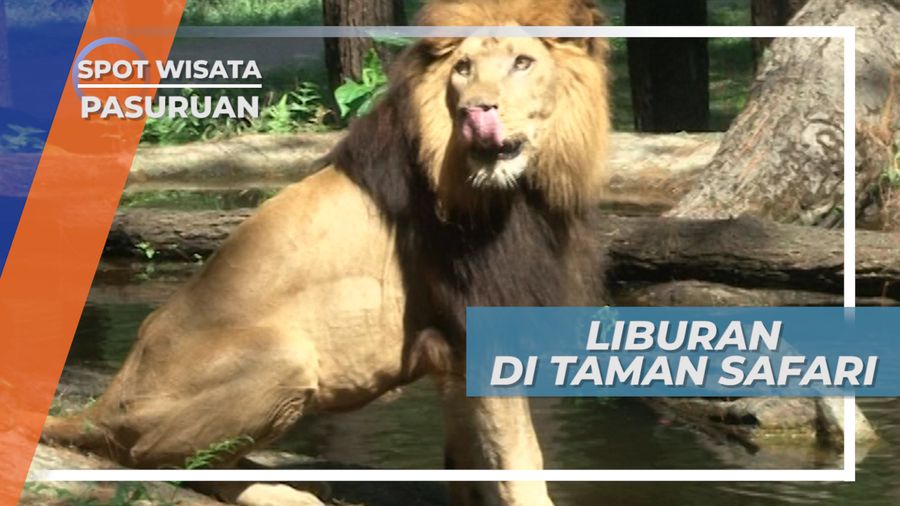 Liburan Seru Melihat Tingkah Polah Binatang di Prigen, Pasuruan