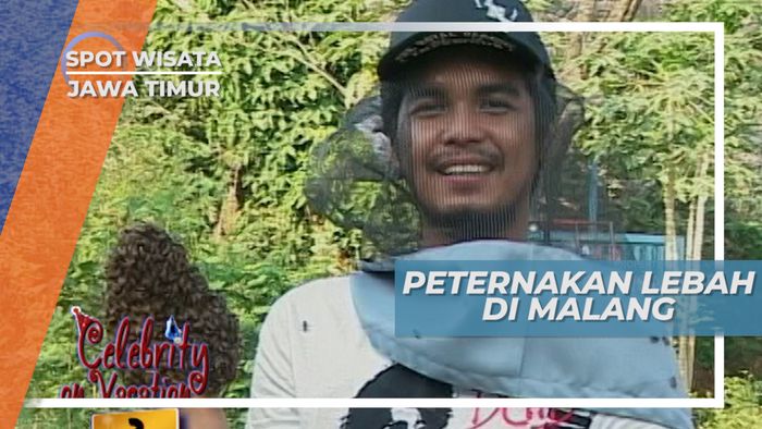 Berinteraksi Langsung Dengan Lebah Madu di Peternakan Lebah Kota Malang