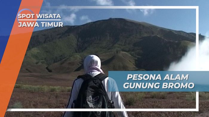 Menyusuri Hamparan Bunga dan Padang Rumput di Kawasan Gunung Bromo Jawa Timur
