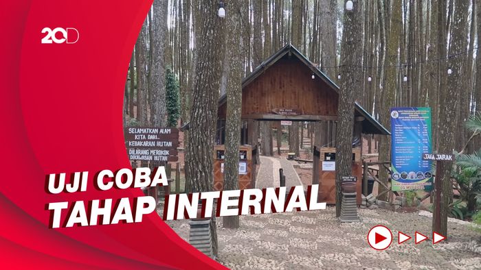 Berwisata di Pinus Sari Pakai PeduliLindungi, Sinyal Jadi Kendala